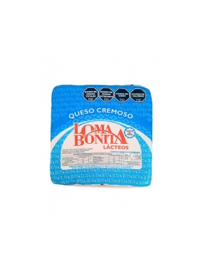 QUESO
